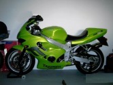 TT 600 zelený