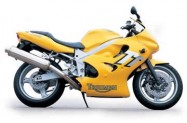 TT 600 žlutý