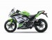 Ninja 300 zelená Limited edition 2015