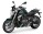 BMW R1250R zelená 2024